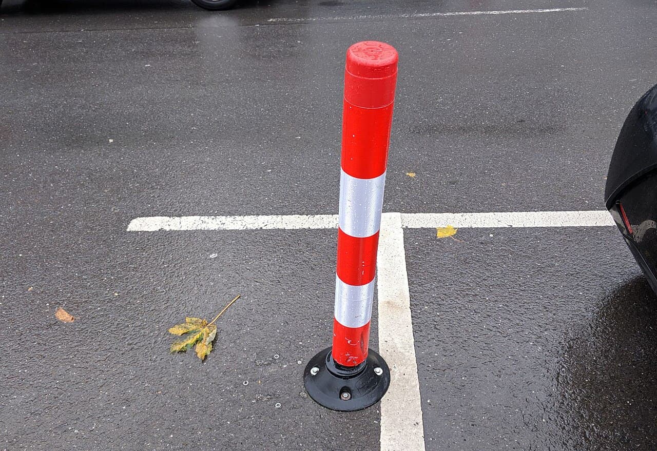 Flexible Posts